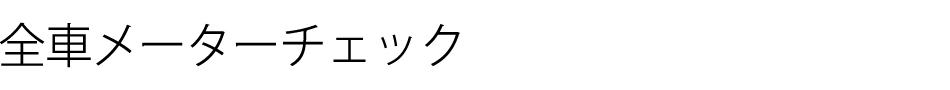 メータチェック